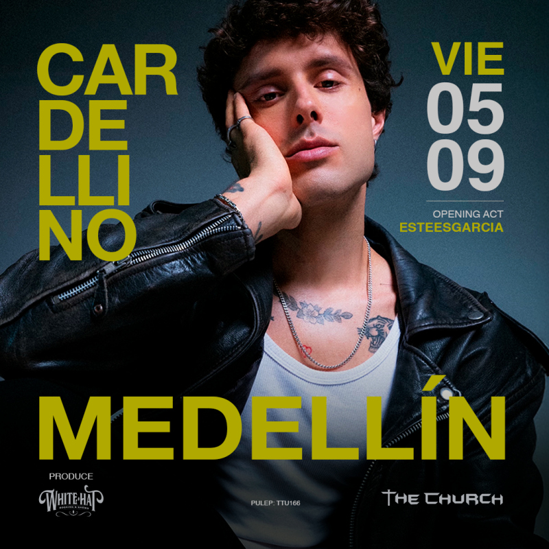 Cardellino en Medellin