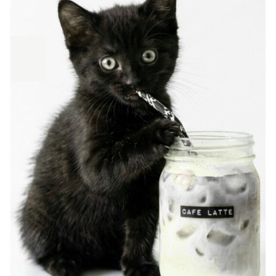 Japoñol Kai - Ludum Bar