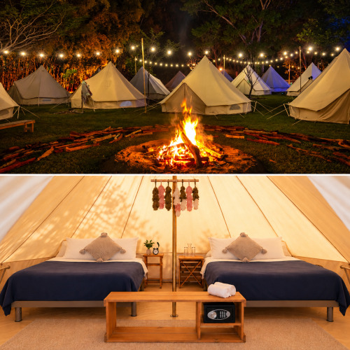 AMATISTA GLAMP | Cuádruple