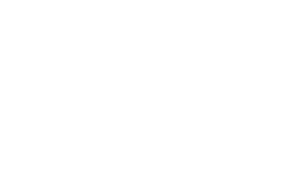Logo Footer